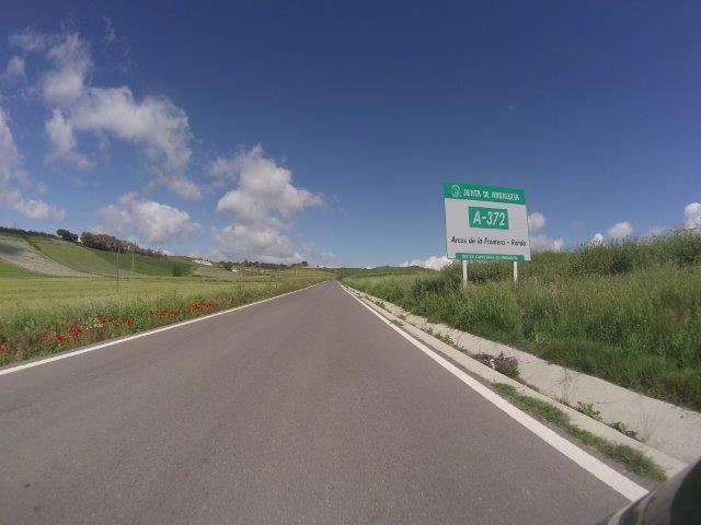 16pb369v.jpg