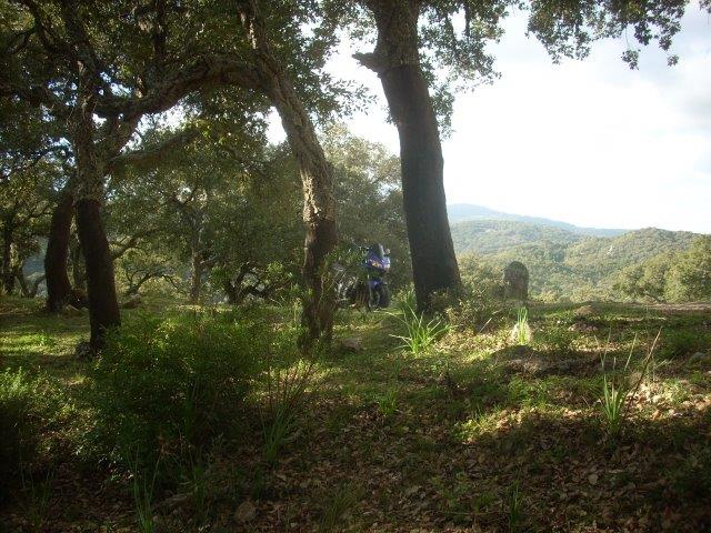 19d2256v.jpg